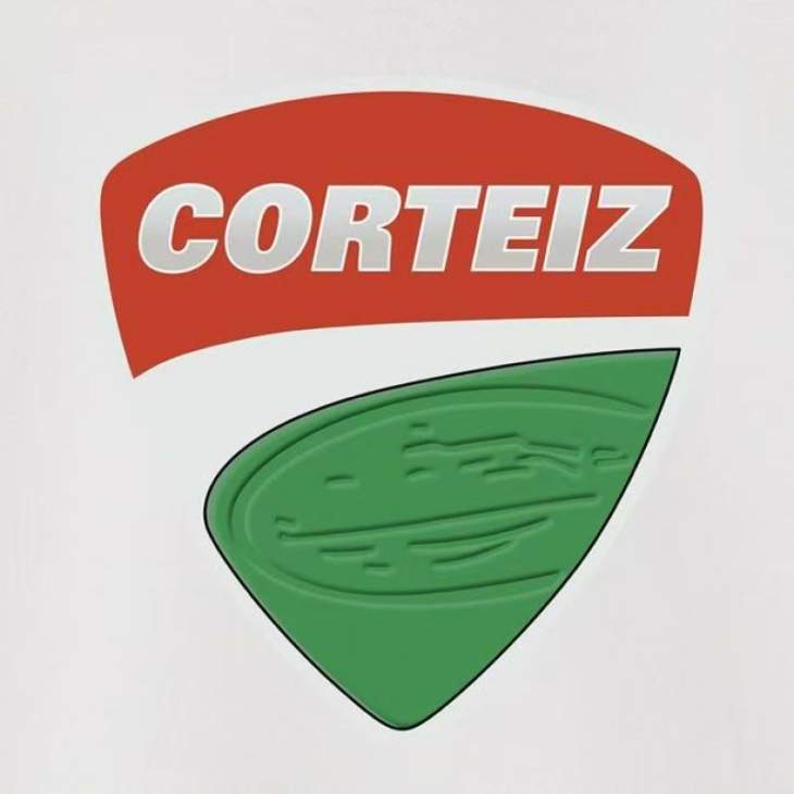 Corteiz Hoodies _SKUCorteizS-2XLastxC20352297
